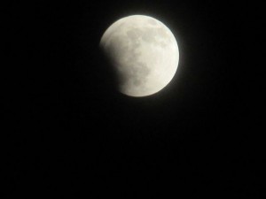 IMG_2084