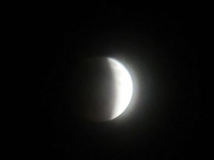 IMG_2094