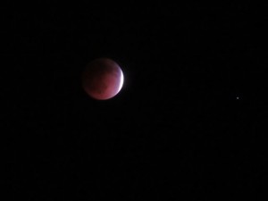 IMG_2110