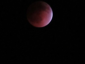 IMG_2117
