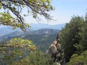 IMG_2521