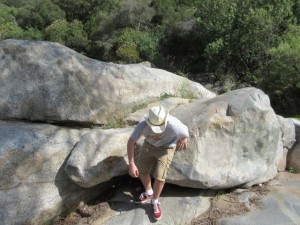 IMG_2526