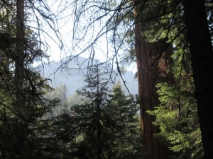 IMG_2651