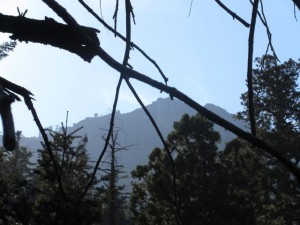 IMG_2669
