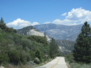 IMG_2698