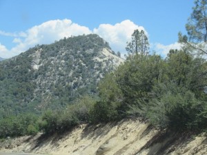 IMG_2705