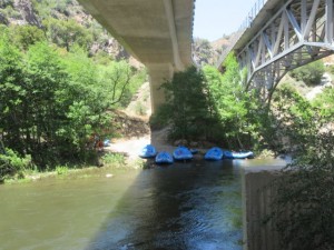 IMG_2715