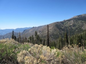 IMG_2767