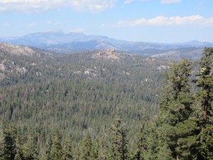 IMG_2776