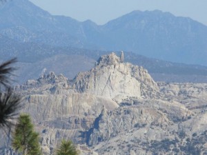 IMG_2793