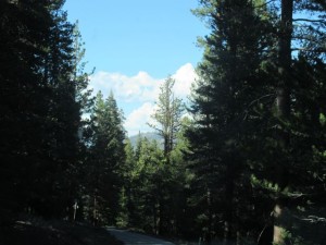 IMG_2814