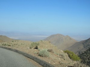 IMG_2828