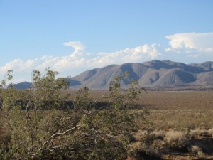 IMG_2851