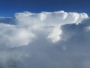 IMG_2909