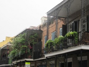 IMG_3046