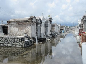 IMG_3291