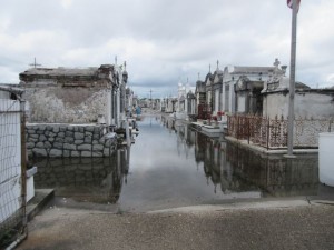 IMG_3296