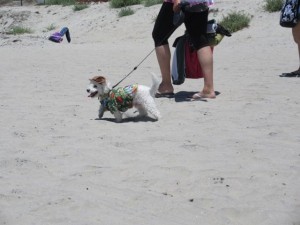 IMG_3481