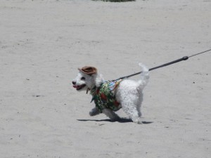 IMG_3482