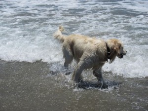 IMG_3490