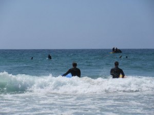 IMG_3541