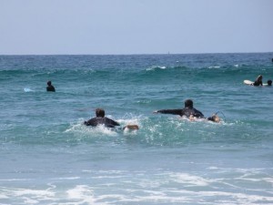 IMG_3542