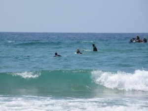 IMG_3548