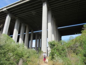 IMG_3608