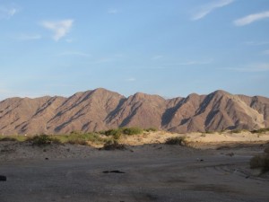 IMG_4231