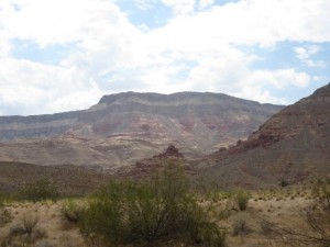 IMG_4248