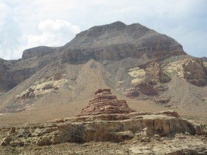 IMG_4260