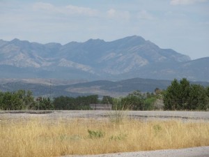 IMG_4265