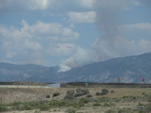 IMG_4275