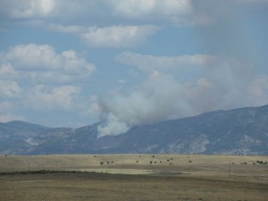 IMG_4277