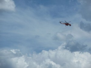 IMG_4289