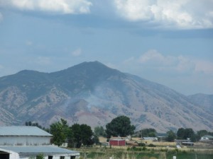 IMG_4297