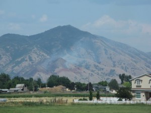 IMG_4298