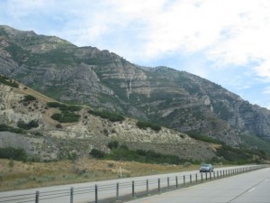 IMG_4311