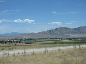 IMG_4363