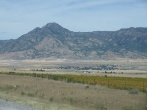IMG_4367