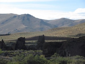 IMG_4401
