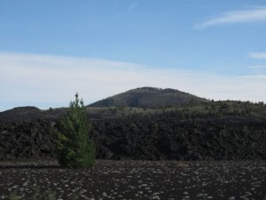 IMG_4446