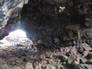 IMG_4491