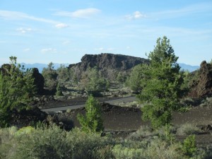 IMG_4510