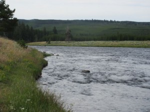IMG_4537