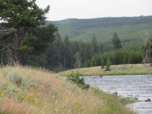 IMG_4541