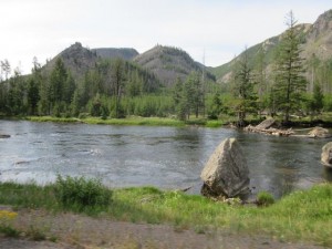 IMG_4572