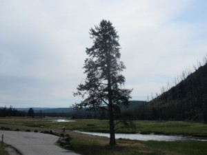 IMG_4578