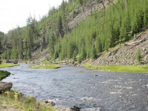IMG_4583