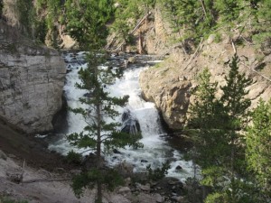 IMG_4589